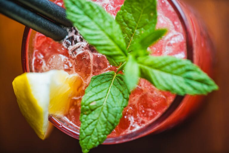 Close-up of a pink cocktail with fresh mint, lemon wedge and ice.