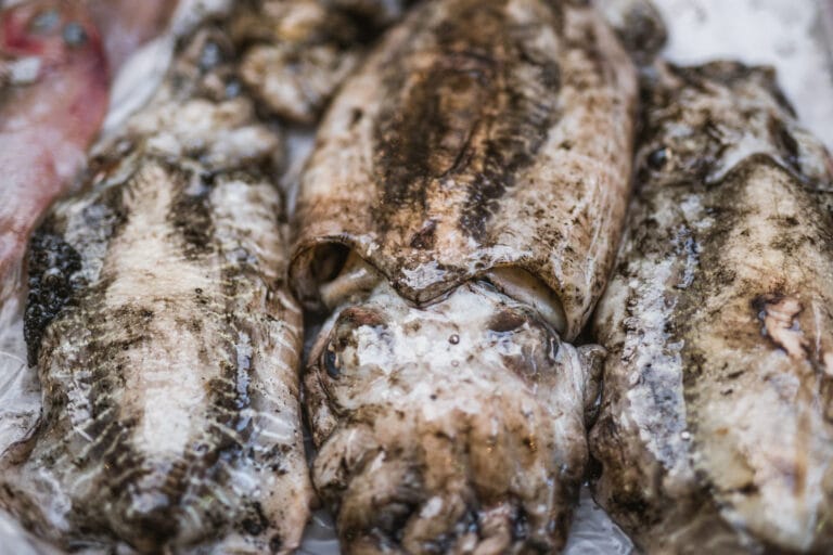 Split fish market