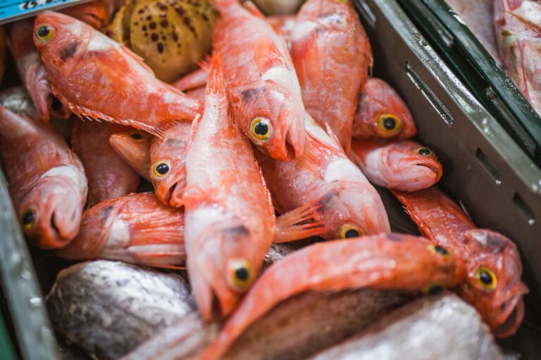 Split fish market